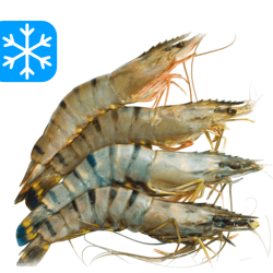 LA PERLA BT 13/15 CREVETTES ENTIERES 10x800Gr (BDG)
