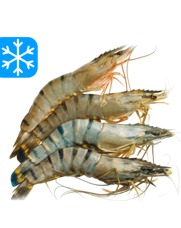 LA PERLA BT 21/30 CREVETTES ENTIERES 10x800Gr (BDG)