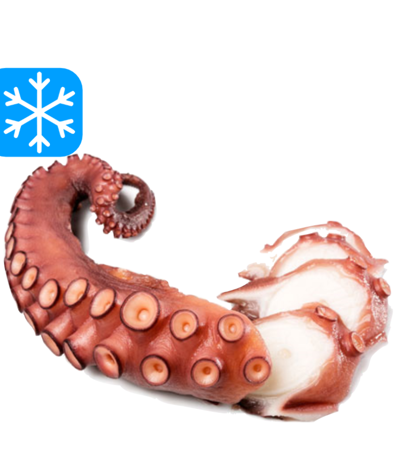 GASTRO BEST TENTACULE DE POULPE CUIT "M" 1x2500Gr (CHE)