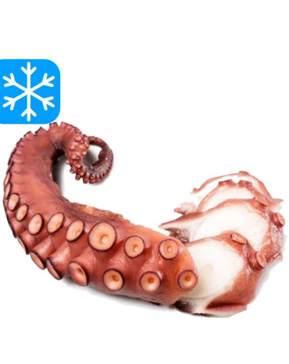 GASTRO BEST TENTACULE DE POULPE CUIT "M" 1x2500Gr (CHE)