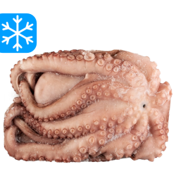 DISCEFA REY DEL PULPO 3 À 4 Kg 1x15Kg (ESP)