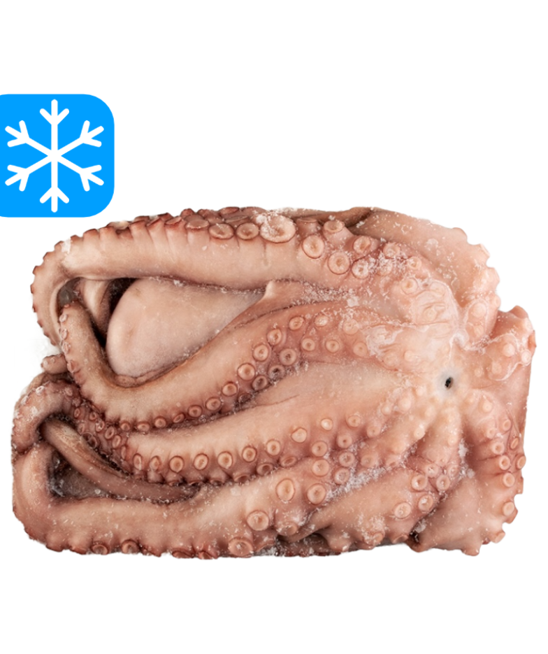 DISCEFA REY DEL PULPO 4 À 6 Kg 1x15Kg (ESP)