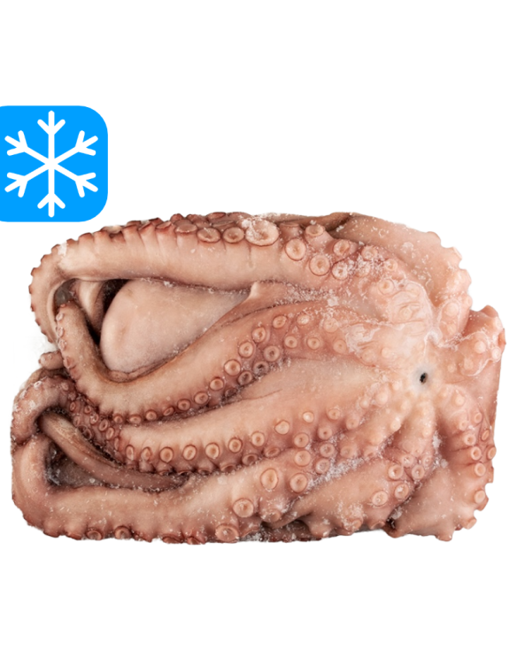 DISCEFA REY DEL PULPO 4 À 6 Kg 1x15Kg (ESP)