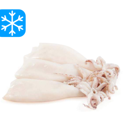GASTRO BEST CALAMARS ENTIERS U-5/100Gr 10x1Kg (CHE)