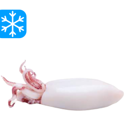 PESCIRO CHIPIRON NETTOYER PATAGONIA 8x1Kg (ARG)