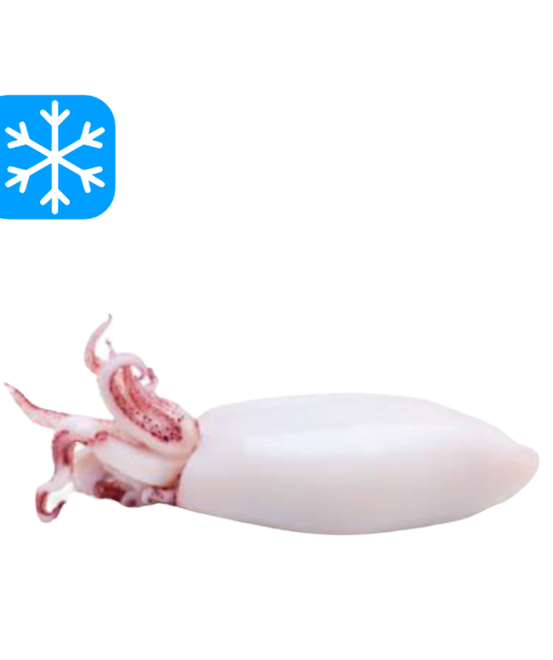 PESCIRO CHIPIRON NETTOYER PATAGONIA 8x1Kg (ARG)