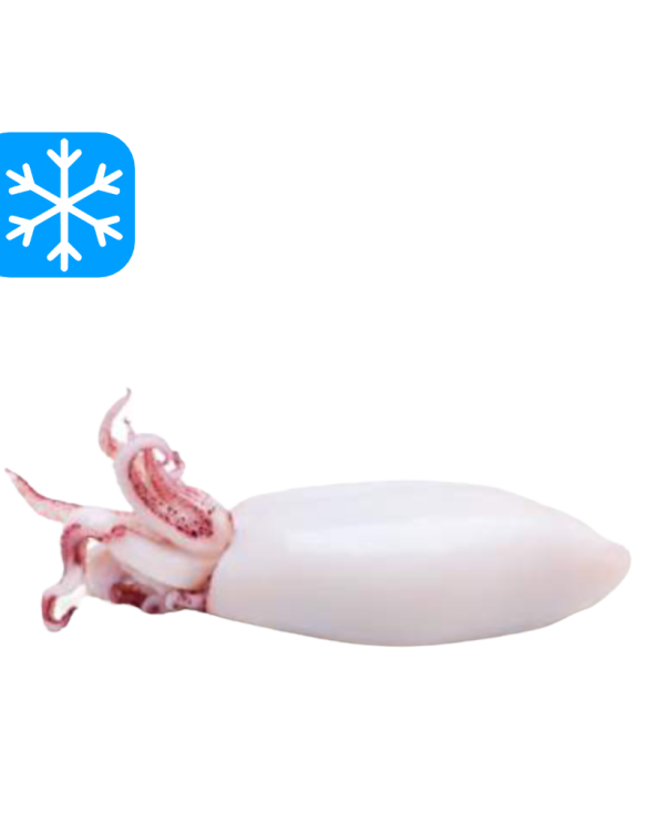 PESCIRO CHIPIRON NETTOYER PATAGONIA 8x1Kg (ARG)