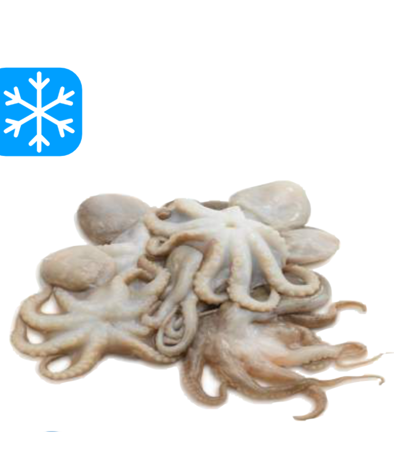 GASTRO BEST MOSCARDINOS 20/40 10x1Kg (CHE)