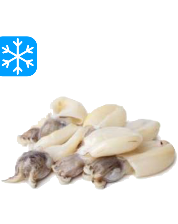 GASTRO BEST SEPPIOLINES 40/60 10x1Kg (VNM)