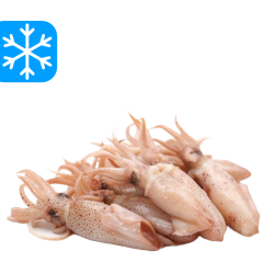 GASTRO BEST CALAMARETTI 12x1Kg (ARG)