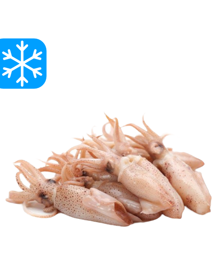 GASTRO BEST CALAMARETTI 12x1Kg (ARG)
