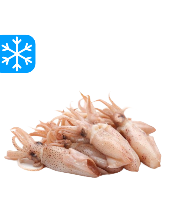GASTRO BEST CALAMARETTI 12x1Kg (ARG)