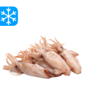 GASTRO BEST CALAMARETTI 12x1Kg (ARG)