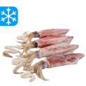 GASTRO BEST CALAMARS ENTIERS AVEC PEAU 10x1Kg (CHE)