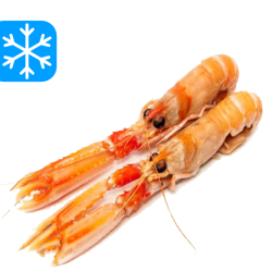 SEAWELL LANGOUSTINES ENTIÈRES 4/7 12x1Kg (DEN)