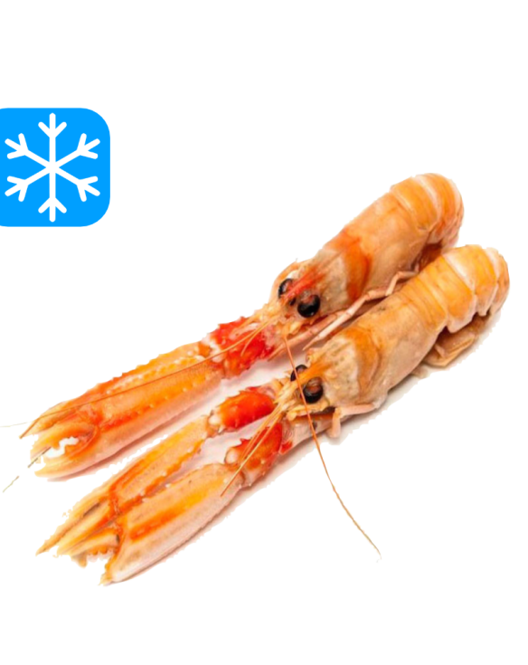 SEAWELL LANGOUSTINES ENTIÈRES 13/16 12x1Kg (DEN)