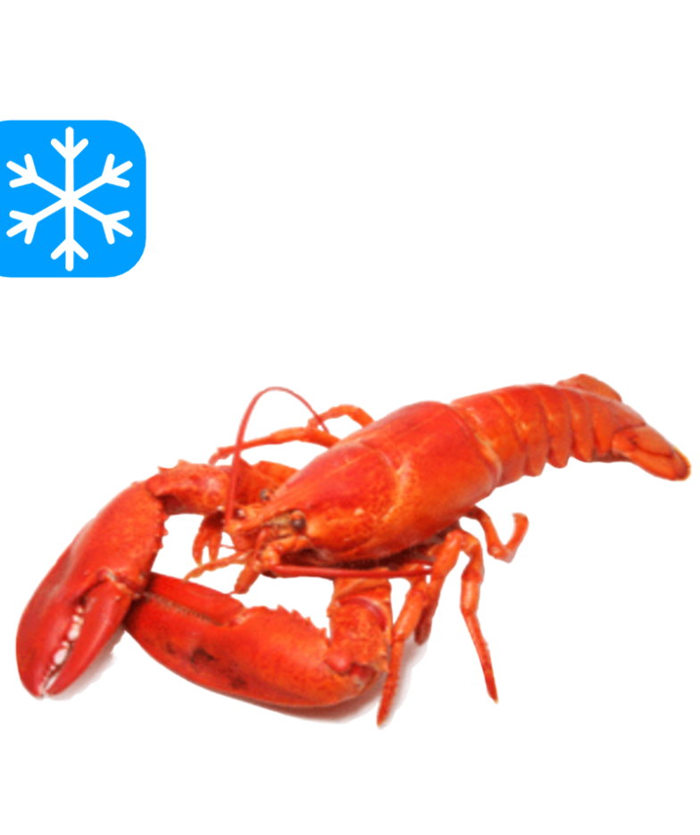 NORDIC SEAFOOD HOMARD ENTIER CUIT 10x325Gr (CHE)