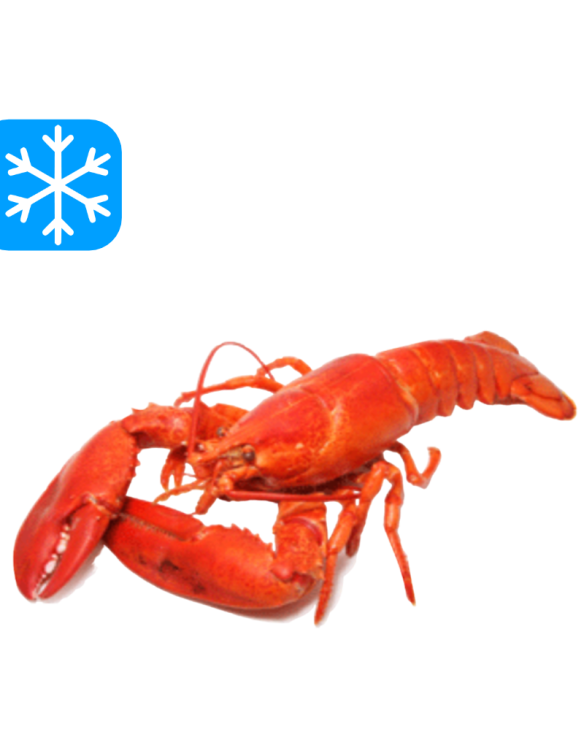 NORDIC SEAFOOD HOMARD ENTIER CUIT 10x325Gr (CHE)
