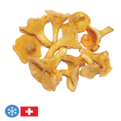 FRESH FOOD CHANTERELLES 5x1Kg (CHE)