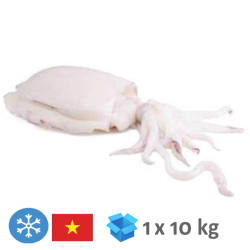 Seiches nettoyées U10, 100g-200g